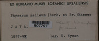 Image Associated With the Occurence